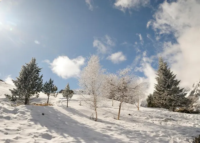 Azureva Piau Engaly アラヌエ